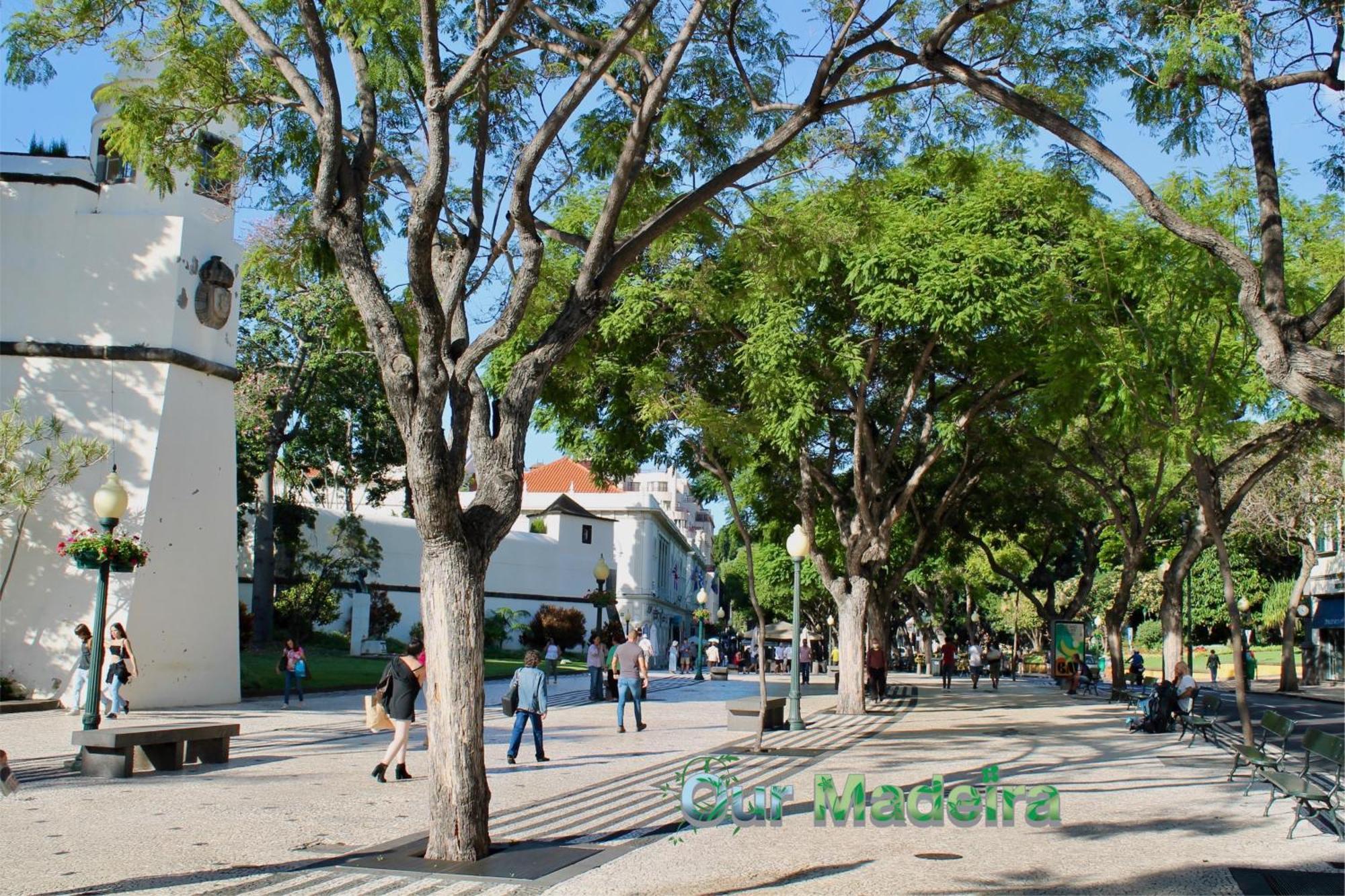 Appartamento Ourmadeira - Heart Of Old Town I Funchal  Esterno foto